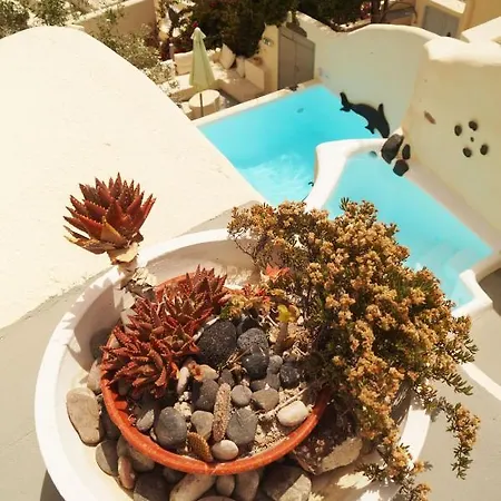 W Tian - Emporeio - 3 Bedroom With Private Pool And Jacuzzi 别墅 *